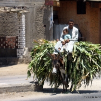 Mısıri, Afrika, Motosiklet