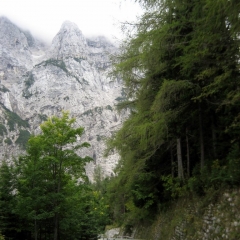 alpler-slovenya-27