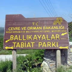 balli-kayalar-21