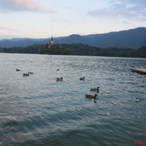 bled-golu-slovenya-24