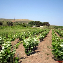 Bozcaada, Çanakkale, Türkiye