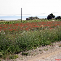 Bozcaada, Çanakkale, Türkiye