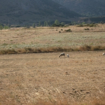 Gökçeada, Çanakkale, Türkiye