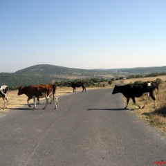 kardzhali-bulgaristan-10