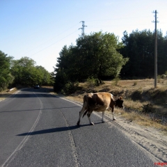 kardzhali-bulgaristan-8