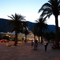 Kotor limanı