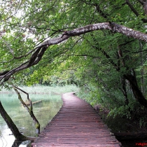 plitvice-milli-park-6