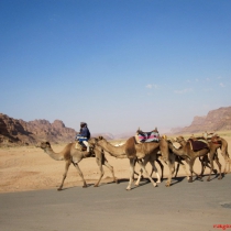 wadi-rum-27